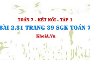 Bài 2.31 trang 39 SGK Toán 7 tập 1 Kết nối tri thức